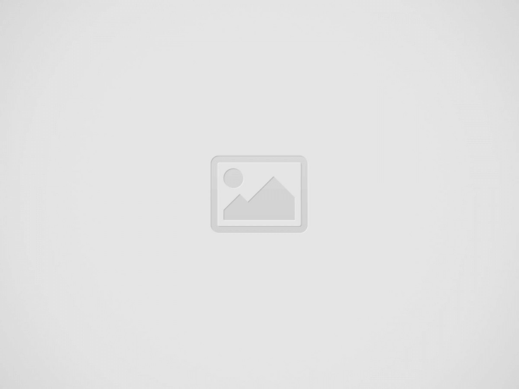 مذكرة في التمسك بسقوط حق المستأنف ضده في قيمة الشيك بالتقادم الصرفي